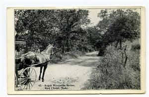 Image description is not available for PHO-264-634